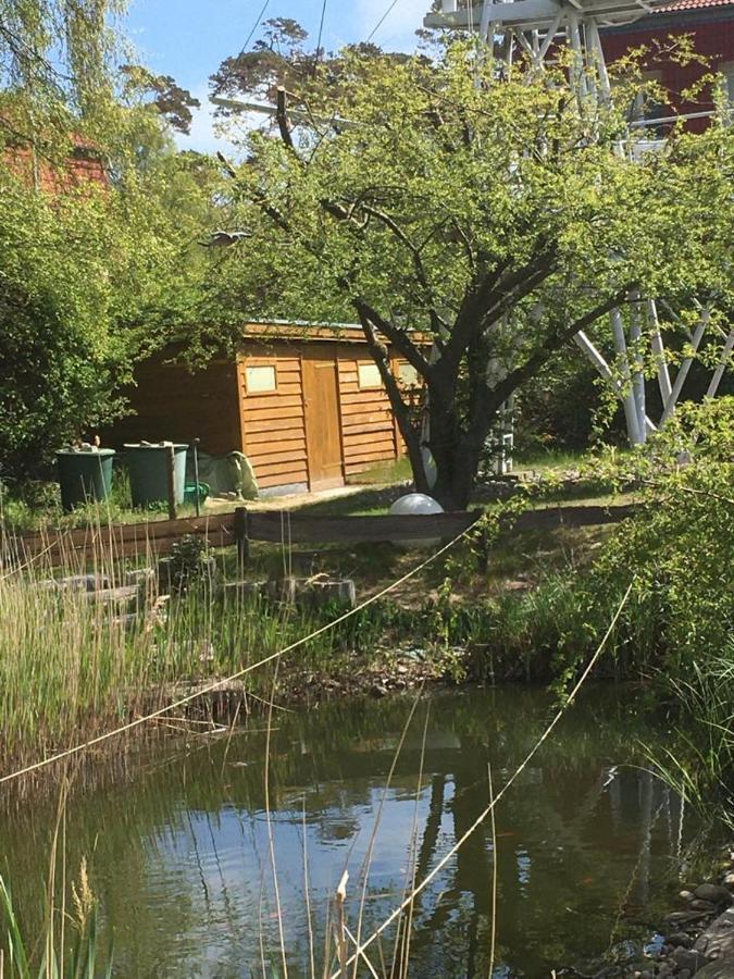 Fewo Schwalbennest Am Meer-Exklusiv-Eigener Strandzugang Ostseebad Kühlungsborn Esterno foto